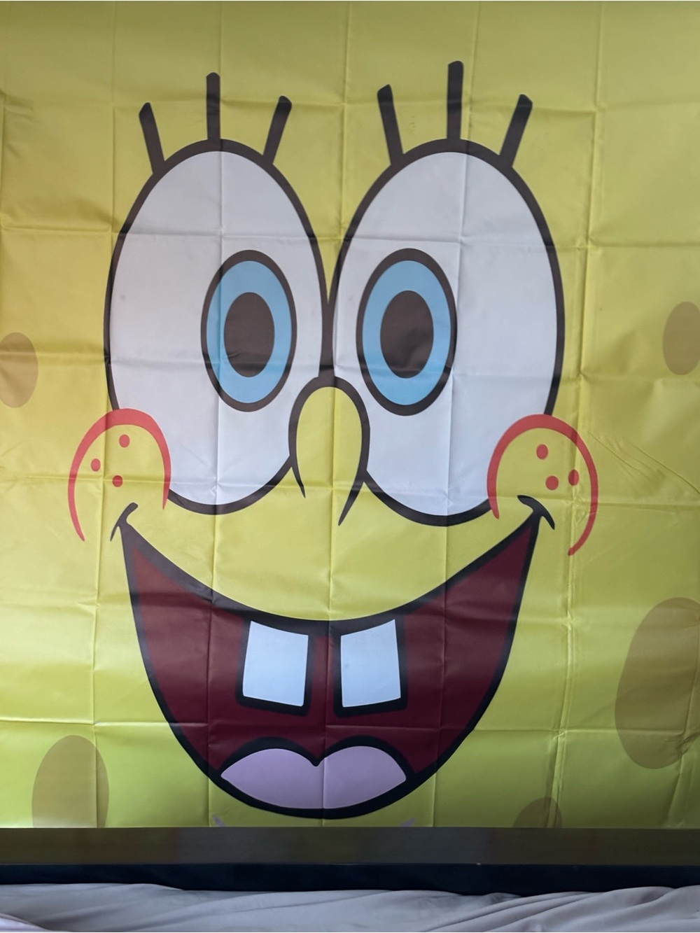 Spongebob Backdrop - Picture 3 of 8